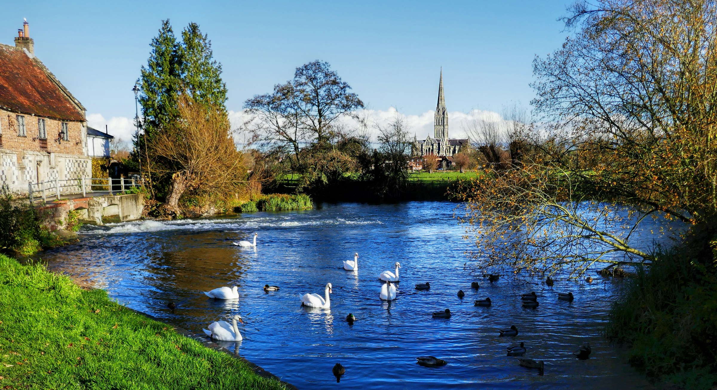 Salisbury River Avon and Cathedral appliance repair hero image